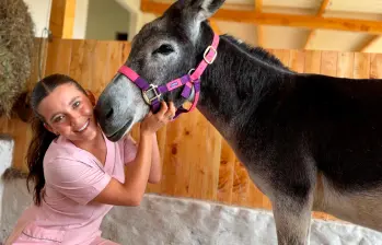 Josefina es una burrita que abandonaron en el Centro de Medellín, hoy tiene un nuevo hogar. FOTO: CORTESÍA