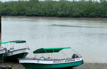 Son varios los esteros que rodean a Buenaventura, la mayoría tienen medidas cautelares de la JEP. Foto: Colprensa