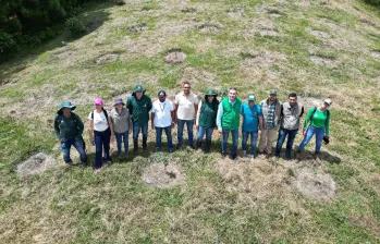 Esperan sembrar más de 214.000 árboles nativos. FOTO: CORTESÍA GOBERNACIÓN