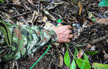 Las tropas de la Décima Cuarta Brigada hallaron dos minas antipersonal en la vereda Cancha Manila, municipio de Segovia. FOTO: Ejército