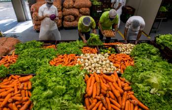 América Latina se ha convertido en una de las regiones que más alimentos envía hacia potencias como Estados Unidos y China; lo que resulta ser una ironía, pues siendo una gran despensa agrícola sufre una profunda inseguridad alimentaria. Foto: Julio César Herrera