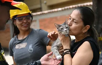 Los terremotos de Chile y Japón que dejan aprendizajes para Colombia. FOTO: AFP