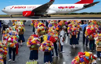 Avianca Cargo transportó 82.000 toneladas de flores y fortalece su apuesta por Medellín. FOTO: ESNEYDER GUTIÉRREZ - Avianca Cargo