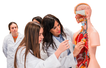 El costo de una especialización médica en una universidad privada de Colombia puede llegar hasta los $40 millones el semestre. El examen de admisión tiene un costo aparte. FOTO GETTY