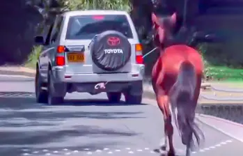Captura de video del hecho difundido en redes sociales.