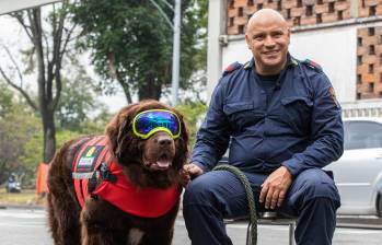 Ares, el perro Terranova del Cuerpo de Bomberos de Medellín, falleció tras tres meses de complicaciones respiratorias y de cinco años de rescate acuático. FOTO: Esneyder Gutiérrez