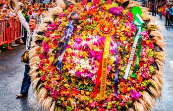  Rodrigo de Jesús Zapata Álzate, ganador en la categoría Tradicional, ahora hace parte de los nuevos reyes del Desfile de Silleteros 2024. Foto: Esneyder Gutiérrez 