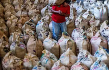 Sectores del agro con vocación exportadora alertan del impacto por la caída del precio del dólar. FOTO Julio César Herrera