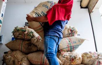 La Federación de Cafeteros anticipa una producción de 6,2 millones de sacos en el primer semestre de este año. FOTO Julio César Herrera