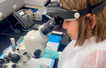 La investigación involucrará a investigadores reconocidos de siete instituciones, incluyendo de la UdeA y la Universidad de Medellín. FOTO: CORTESÍA