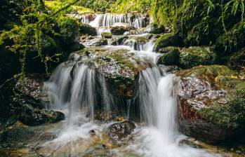 Reserva Natural El Romeral en el municipio de La Estrella. Área protegida estratégica para el Valle de Aburrá al abarcar más de cinco mil hectáreas de bosque, cascadas y montañas. Foto: Edwin Bustamante. Archivo El Colombiano