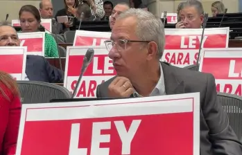 La Corte Constitucional declaró exequible la ley. FOTO: SENADO DE LA REPÚBLICA.