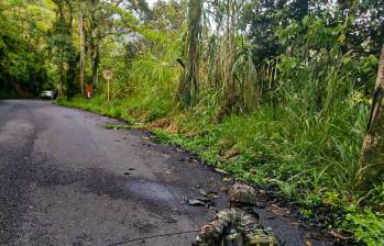 Una de las banderas fue encontrada en el sector El Porvenir, sobre la vía que comunica a la cabecera municipal con el corregimiento de Tapartó. FOTO: Cortesía Ejército Nacional