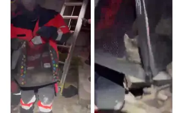El gato fue rescatado por los bomberos de Medellín en el segundo piso de una vivienda parcialmente colapsada en Pereira. Foto: Cortesía