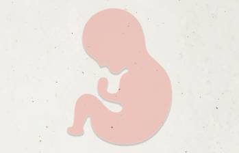 Estos estudios ayudarían a entender mejor la causa de los abortos espontáneos en los primeros días del embarazo. Imagen de referencia. FOTO: Freepik.es