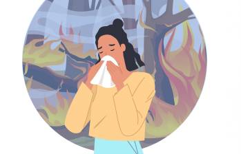 Una nariz enferma puede presentar síntomas como resequedad, mocos secos o costras, estornudos frecuentes, alteración del olfato, entre otros. Ilustración: Shutterstock