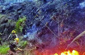 En lo que va de este año se han registrado 12 incendios forestales en el Cerro Quitasol. FOTO EL COLOMBIANO.