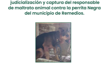 Cartel de recompensa de la Gobernación de Antioquia. Foto: cortesía.