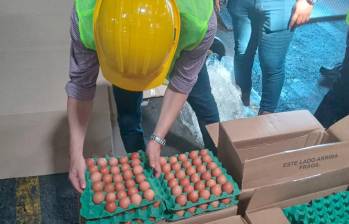 La capacidad de producción avícola colombiana permite abastecer el consumo interno e iniciar este proceso exportador a Cuba. FOTO cortesía Fenavi