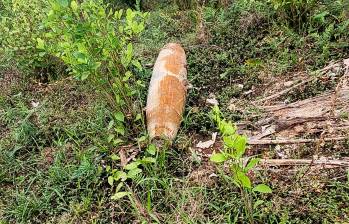 Esta fue la bomba sin explotar que los lugareños encontraron en el corregimiento Jardín de Sucumbíos, de Ipiales, Nariño. FOTO: AFP
