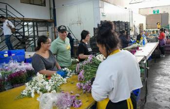 Gobernador Andrés Julián Rendón visitó empresas exportadoras de flores en el Oriente antioqueño. FOTO: CORTESÍA GOBERNACIÓN DE ANTIOQUIA