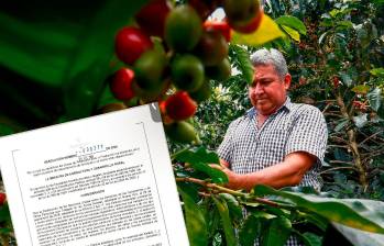 Los caficultores y demás sectores productivos del Suroeste antioqueño están en vilo con la resolución firmada por el Ministerio de Agricultura. FOTO: MANUEL SALDARRIAGA