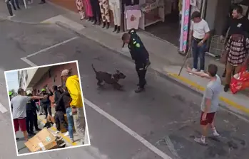 El accionar de este uniformado con el perro en la zona central de Rionegro provocó una asonada por parte de la comunidad indignada. FOTOS: CORTESÍA