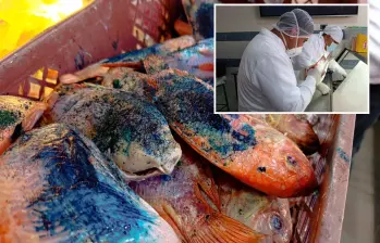 Adelante, funcionarios de sanidad inspeccionan pescados en un mercado de Bello. Abajo, parte de los peces incautados. FOTO: Cortesía.