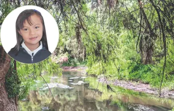 El Río Frío se encuentra contiguo al colegio. No es caudaloso pero está lleno de ramas y árboles caídos. FOTO EL COLOMBIANO