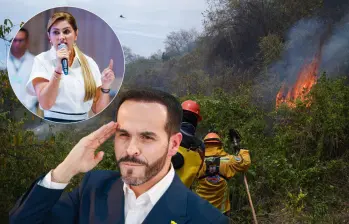 La gobernadora del Tolima denunció amenazas contra brigadistas militares que intentan apagar incendios e Tolima. Fotos: Getty Images, Manuel Saldarriaga y @adrianamatiztol