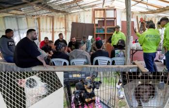 Entre los capturados está el organizador del evento y un veterinario. Foto: Fiscalía