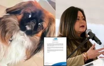 La ministra María Fernanda Rojas anunció investigaciones en el caso de la muerte de Maxi, un pekinés que fue obligado a viajar en la bodega de equipaje. Fotos: Colprensa y cortesía