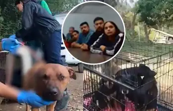 Los sentenciados son un veterinario, el organizador del evento y 11 participantes extranjeros. Foto: Fiscalía