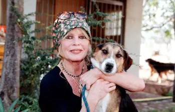 El cine francés lamenta la muerte de la actriz Brigitte Bardot, a sus 91 años. FOTO: Archivo EL COLOMBIANO