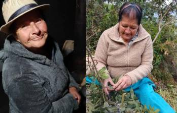 Doña Blanca Emeria Pardo Rosero, campesina de 72 años, fue hallada en un potrero de San Bernardo, Nariño, con graves signos de violencia. Días después murió en un hospital de Pasto. Foto: Noticias Caracol
