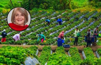 Todo no está acabado. Luego de que se posesione el nuevo Congreso, se buscará de nuevo aprobar el proyecto de ley. Para este texto, EL COLOMBIANO consultó a la exministra de Agricultura, Cecilia López. FOTO Camilo Suárez 