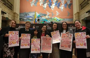 El proyecto es de autoría de las representantes a la Cámara, Alexandra Vásquez, Jennifer Pedraza y Carolina Giraldo. FOTO: CÁMARA DE REPRESENTANTES.