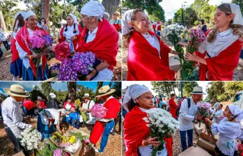 Los silleteros intercambiaron crisantemos, hortensias y hasta girasoles. FOTOS Manuel Saldarriaga