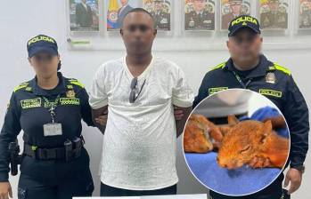 El hombre de 25 años fue capturado en el aeropuerto Rafael Núñez de Cartagena con dos ardillas en los genitales. Fotos: Policía Metropolitana de Cartagena y EPA Cartagena