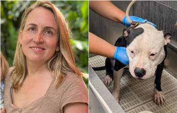 Annie Harvilicz, la médica veterinaria que ha salvado más de 40 animales de los incendios en Los Ángeles, junto a un equipo de voluntarios. FOTO: REDES SOCIALES 