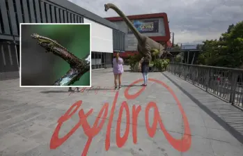 El Parque Explora es un referente de ciudad que combina ciencia con entretenimiento. Foto: EL COLOMBIANO