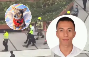 Habló el dueño del perrito Tonny, que fue lanzado desde el piso 25 de un edificio. Esto fue lo que contó. FOTO: Captura de video 