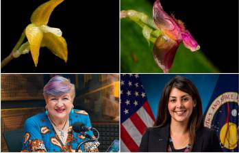 En los Farallones de Cali hallaron nuevas especies de orquídeas y las bautizaron en honor a destacadas mujeres colombianas. FOTOS Juan Sebastián Moreno, Colprensa y Nasa 