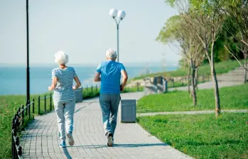 Cuando se controlan las muertes provocadas por factores externos los análisis de este trabajo muestran que la herencia genética podría explicar cerca del 50 % de la duración de la vida. Foto: Agencia Sinc