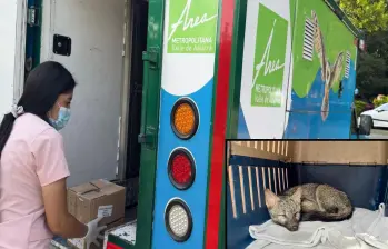 Adelante, un zorro perro rescatado por los funcionarios del Área Metropolitana. Atrás, una de las unidades móviles dedicadas a esta tarea. FOTO: Cortesía.