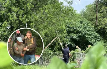 El hombre guatemalteco pasó ocho horas en un árbol mientras vecinos le gritaban que no firmara nada. Fotos: Redes sociales y captura de video