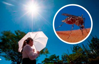 Durante las primeras tres semanas de 2023, la incidencia de dengue era de 15,9 casos por 100.000 habitantes. Ahora, esa incidencia es de 43,5 casos por cada 100.000 habitantes. FOTO: EL COLOMBIANO