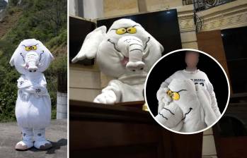 ¿Quién es el “Elefante Blanco” que llegó al Senado? Esta es su historia. Foto: redes sociales @elefantescol