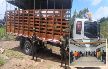 Adelante, los detenidos en Fredonia. Atrás, parte de las reses recuperadas en San Pedro de los Milagros. FOTO: Cortesía