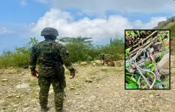 Adelante, un explosivo improvisado. Atrás, un soldado y su perro antiexplosivos en labores de detección. FOTO: Cortesía